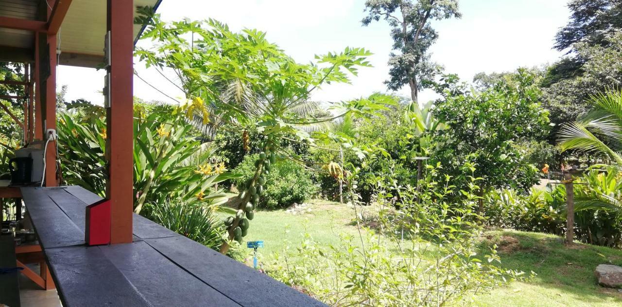 Karandi Hostel Uvita Luaran gambar