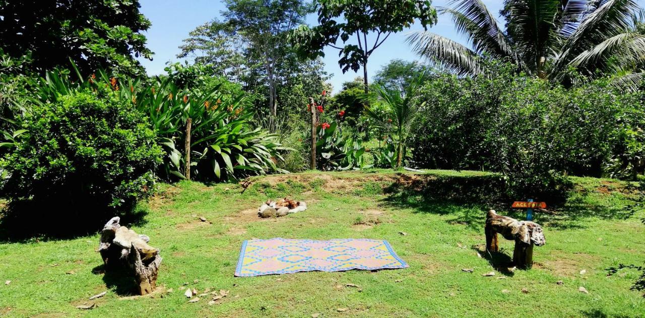 Karandi Hostel Uvita Luaran gambar